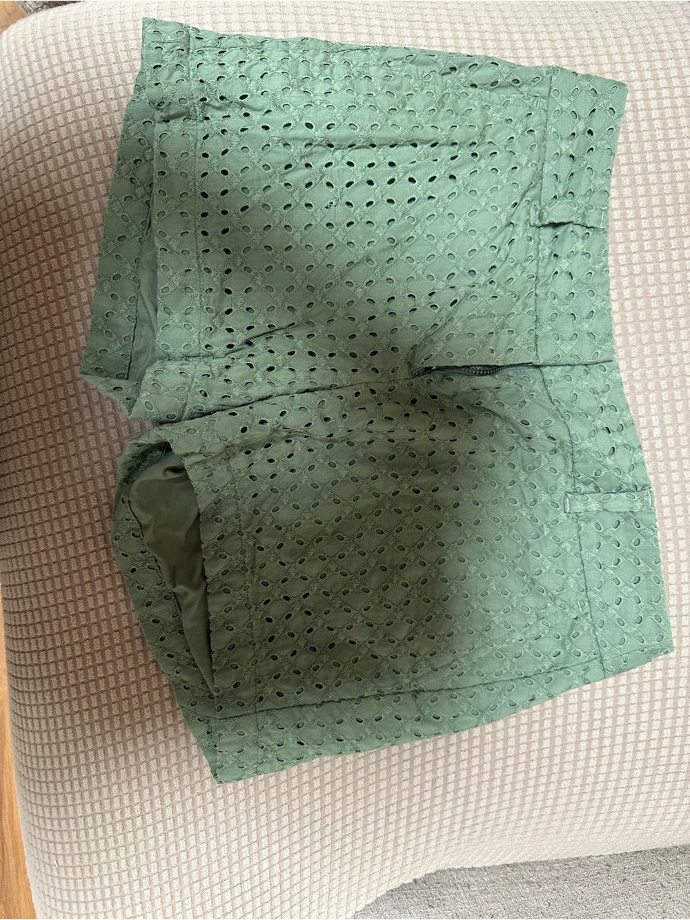 LOFT Olive Green Casual Shorts